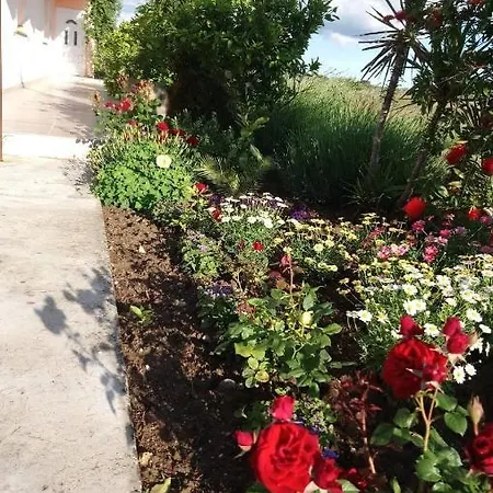 شقة Flora Maris Ae1599 *